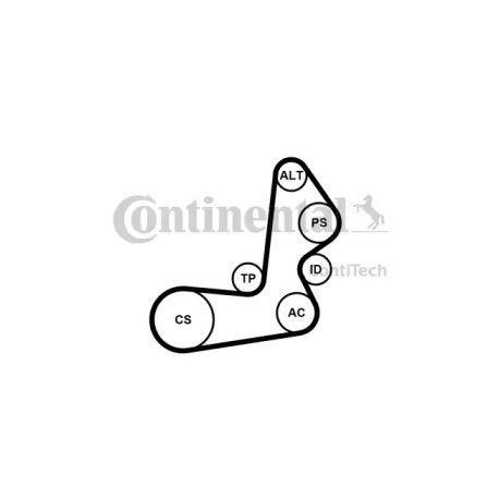 Поликлиновой ременный комплект Contitech CT 6PK1515K1. Фото 1 CT 6PK1515K1