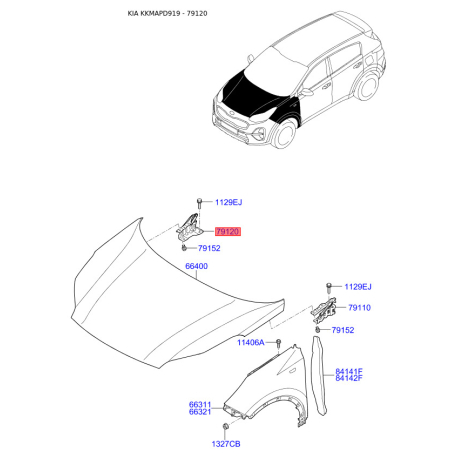 Петля капота права 79120-D9000 Mobis - 79120D9000 - схема з каталогу 79120, KKMAPD919 79120D9000