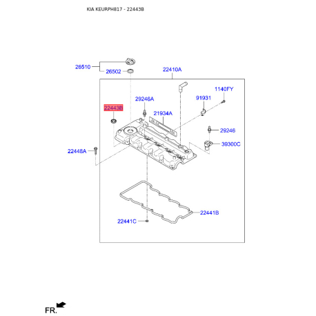 Прокладка клапанной крышки 22443-2A100 Mobis - 224432A100 - схема с каталога 22443B, KEURPH817 224432A100