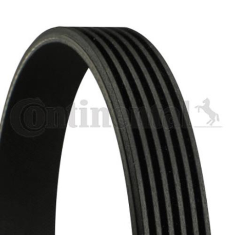 Поликлиновой ремень Contitech - CT 6PK1256 - изображение №1 CT 6PK1256