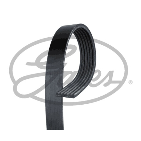 Полікліновий ремінь Gates - GT 6PK1255 - зображення №1 GT 6PK1255