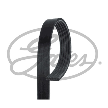 Полікліновий ремінь Gates - GT 5PK1390 - зображення №1 GT 5PK1390