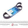 Полікліновий ремінь 6PK1285 Dayco - DY 6PK1285 - зображення №1