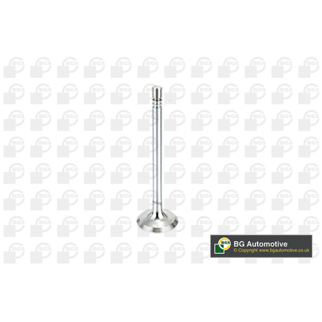 Клапан впускной BGA - V164660 - изображение №1 V164660
