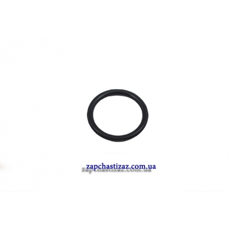 Кольцо уплотнительное под трамблёр Таврия Славута 245-3706218 Фото 1 245-3706218