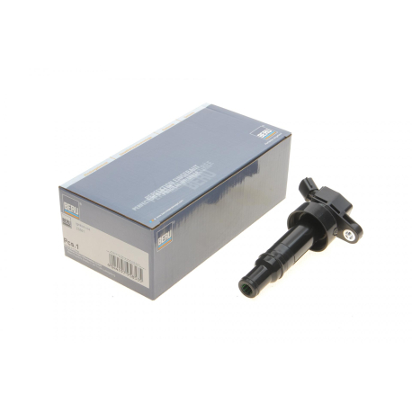 Катушка зажигания BERU - ZS551 - изображение №1 ZS551