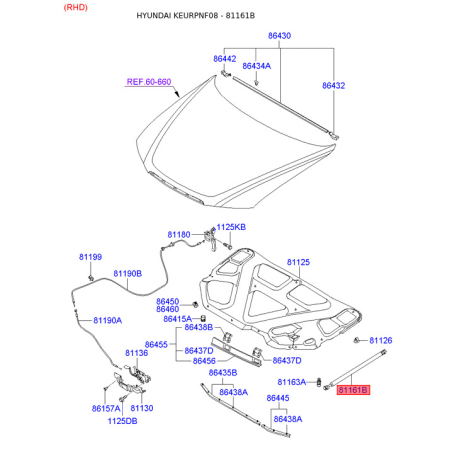 Газовая пружина, капот 81161-3K000 Mobis - 811613K000 - схема с каталога 81161B, KEURPNF08 811613K000