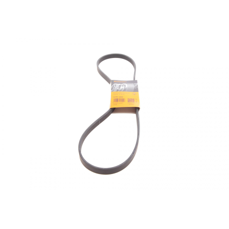 Полікліновий ремінь Contitech - CT 5PK1240 - зображення №1 CT 5PK1240