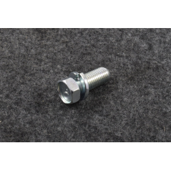 Болт гальмівного диска Матіз GM