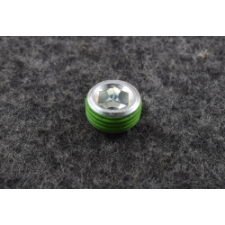 Заглушка головки блока резьбовая ф9.73мм Матиз Спарк GM