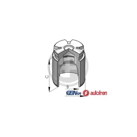 Поршень гальмівного супорта Autofren Seinsa AF D025530. Фото 1 AF D025530