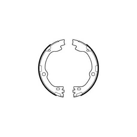 Колодки ручного (стояночного) тормоза Delphi LS2119. Фото 1 LS2119