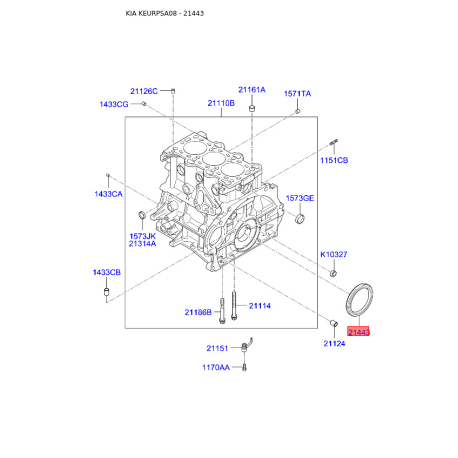 Манжета (сальник) колінвалу задня 21443-02501 Mobis - 2144302501 - схема з каталогу 21443, KEURPSA08 2144302501