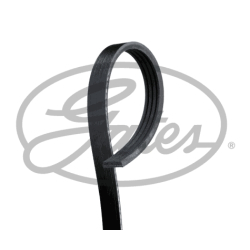 Полікліновий ремінь Gates