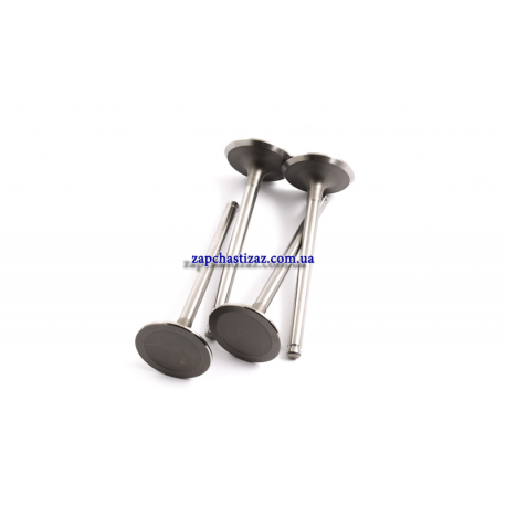 Клапана впускні 1.5 AMP (3 шт) УЦІНКА PDAE011 RSP