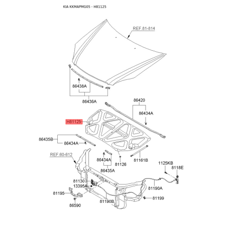 Шумоізоляція (теплоізоляція) капота 81125-2G000 Mobis - 811252G000 - схема з каталогу H81125, KKMAPMG05 811252G000