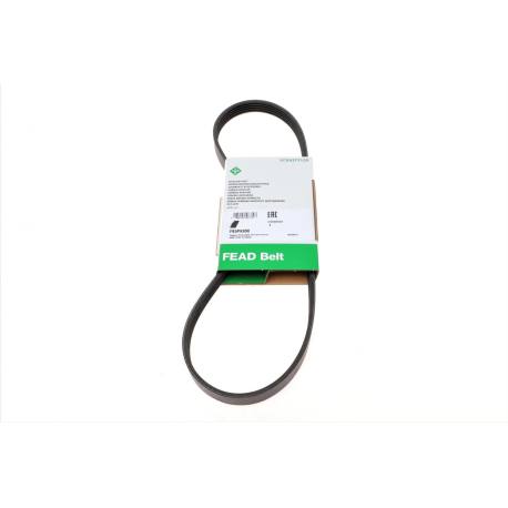 Полікліновий ремінь 5PK890 INA - FB 5PK890 - зображення №1 FB 5PK890