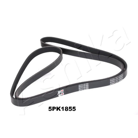 Полікліновий ремінь 5PK1855 ASHIKA - 112-5PK1855 - зображення №1 112-5PK1855