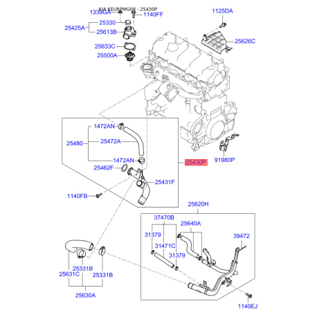 З'єднувач (трубка) шланга 25430-27410 Mobis - 2543027410 - схема з каталогу 25430P, KEURPMG09 2543027410