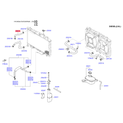 Шланг радіатора верхній 25411-2D000 Mobis