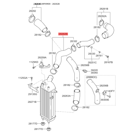 Шланг (патрубок) компресора 28262-2F000 Mobis - 282622F000 - схема з каталогу 28262B, KEURPXM09 282622F000