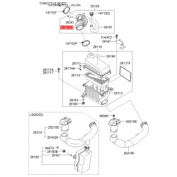 Шланг, система подачи воздуха 28138-1G200 Mobis