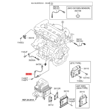 Датчик положения коленвала 39180-27400 Mobis - 3918027400 - схема с каталога 39180, SEURPED10 3918027400