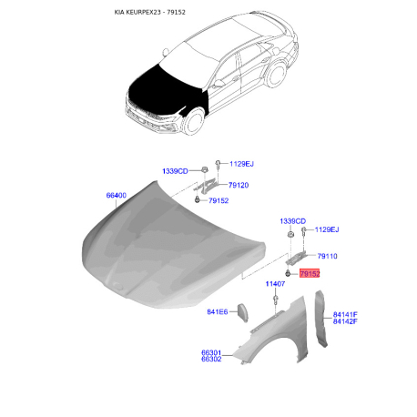 Болт петли капота 79152-22000 Mobis - 7915222000 - схема с каталога 79152, KEURPEX23 7915222000
