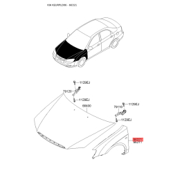 Крыло правое 66321-2F030 Mobis