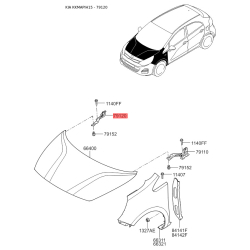 Петля капота права 79120-1W000 Mobis