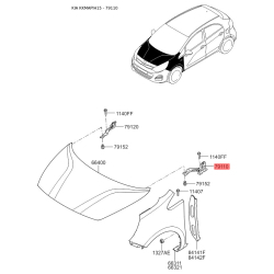 Петля капота левая 79110-1W000 Mobis