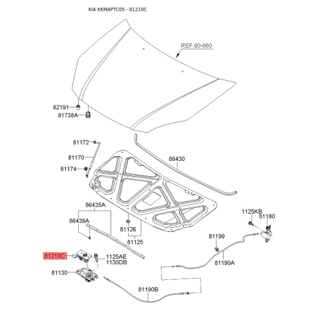 Замок капота 81135-1G000 Mobis - 811351G000 - схема с каталога 81210C, KKMAPTC05 811351G000