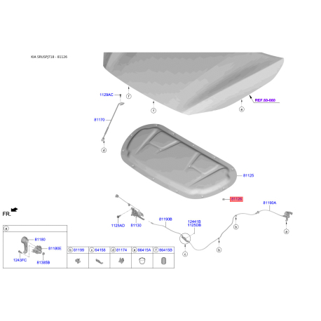 Ручка троса капота та її кріплення 81126-F2000 Mobis - 81126F2000 - схема з каталогу 81126, SRUSPJ718 81126F2000