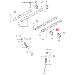 Болт розвальний (ексцентрик) заднього нижнього важеля 55230-29000 Mobis