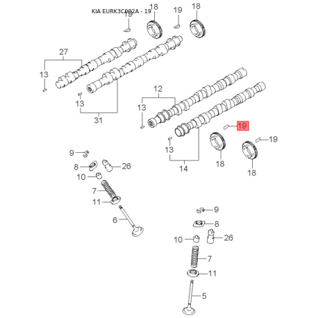 Болт развальный (эксцентрик) заднего нижнего рычага 55230-29000 Mobis - 5523029000 - схема с каталога 19, EURK3C002A 5523029000