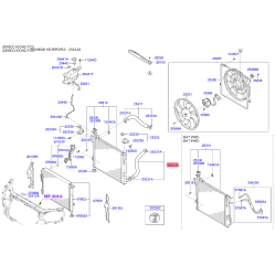 Шланг радиатора нижний 25412-2B700 Mobis