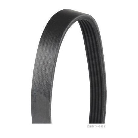 Полікліновий ремінь 5PK1810 HERTH+BUSS JAKOPARTS - HBJ J1051810 - зображення №1 HBJ J1051810