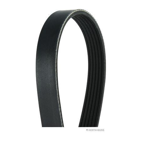 Полікліновий ремінь 6PK1255 HERTH+BUSS JAKOPARTS - HBJ J1061255 - зображення №1 HBJ J1061255