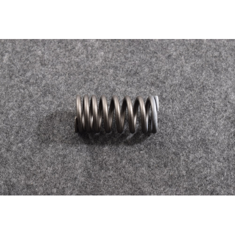 Пружина клапана впускного и выпускного Матиз GM 96412798