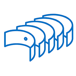 Вкладиші корінні